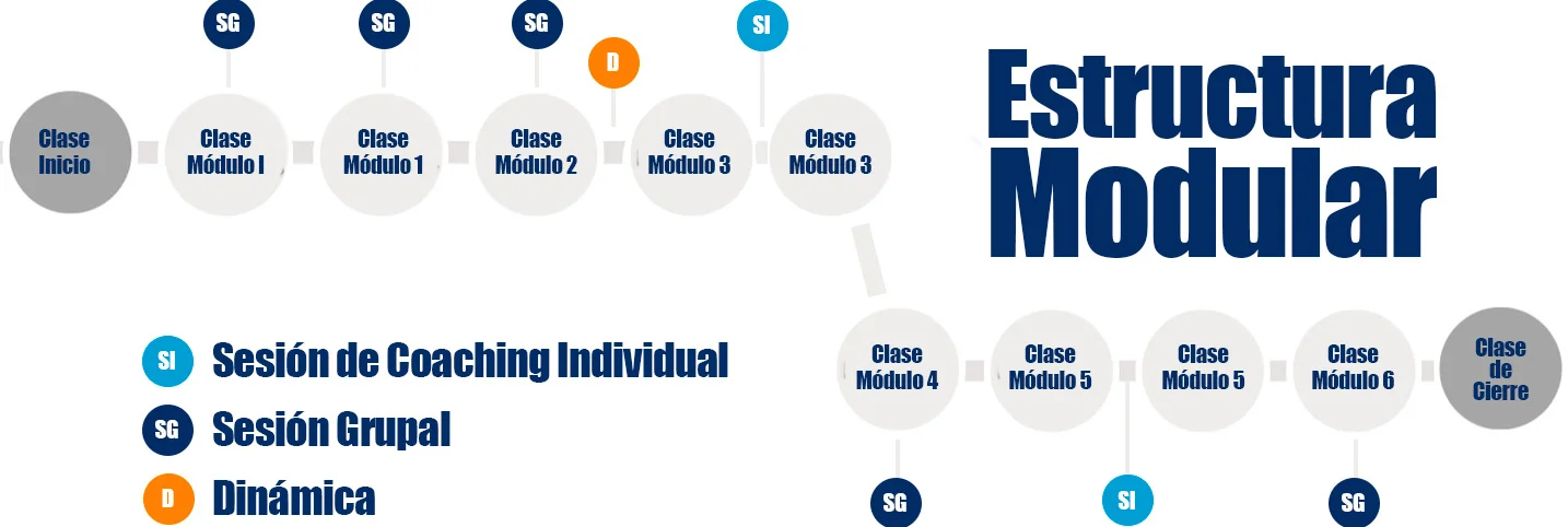 Diagrama de estructura modular del Programa de Liderazgo e Influencia Online